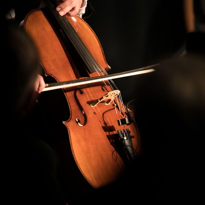Violonchelo